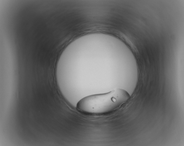 X0000112360313200908131239