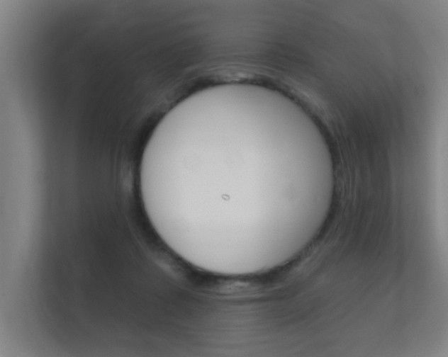 X0000112360315200908131239