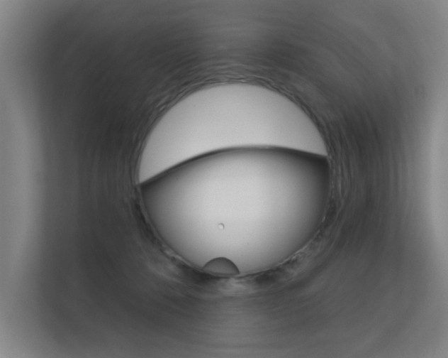 X0000112360320200908131239