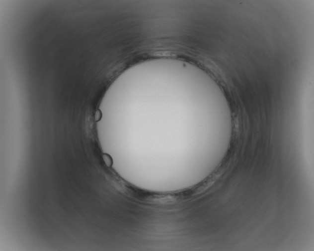 X0000112360322200908131239