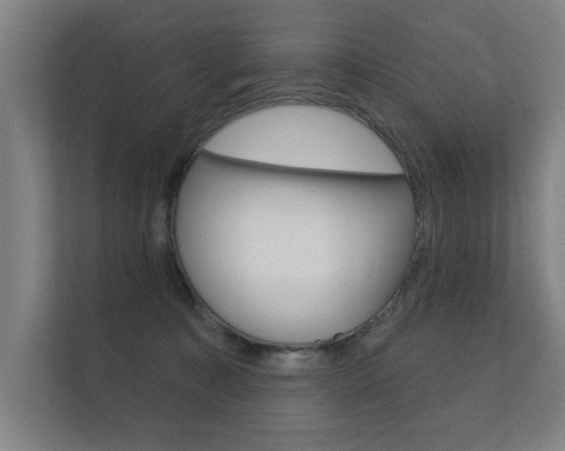 X0000112360323200908131239
