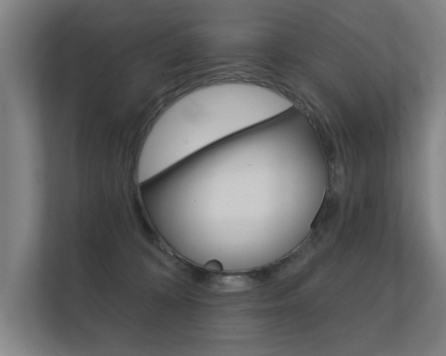 X0000112360324200908131239