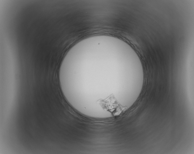X0000112360325200908131239