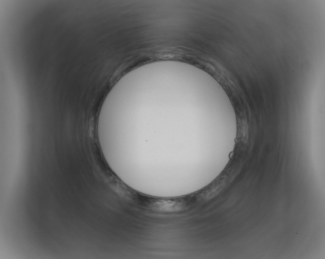 X0000112360326200908131239