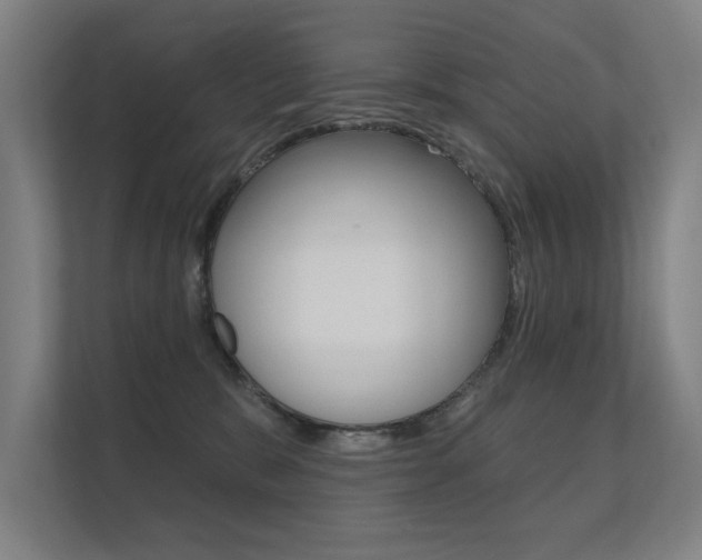 X0000112360327200908131239