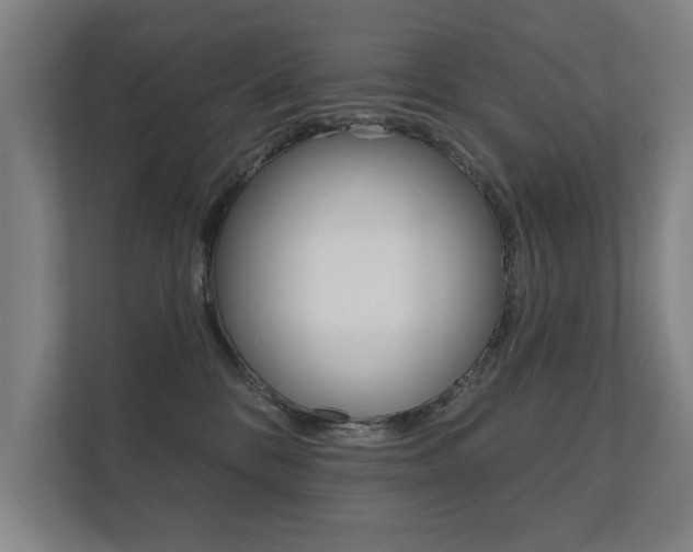 X0000112360328200908131239