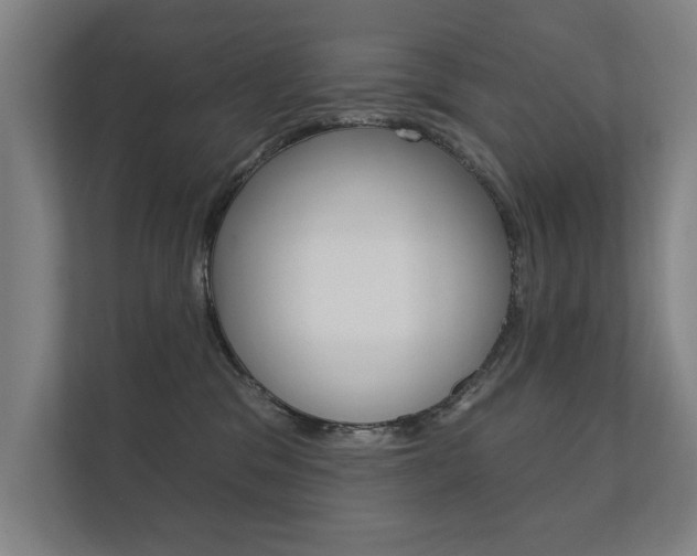 X0000112360329200908131239