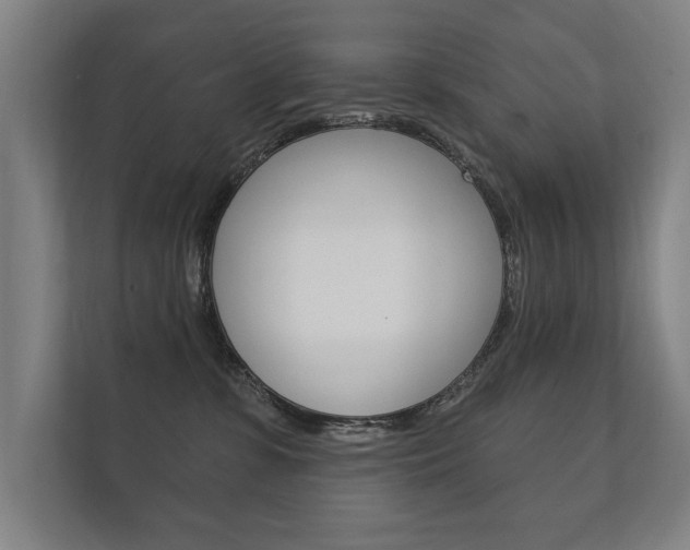 X0000112360331200908131239