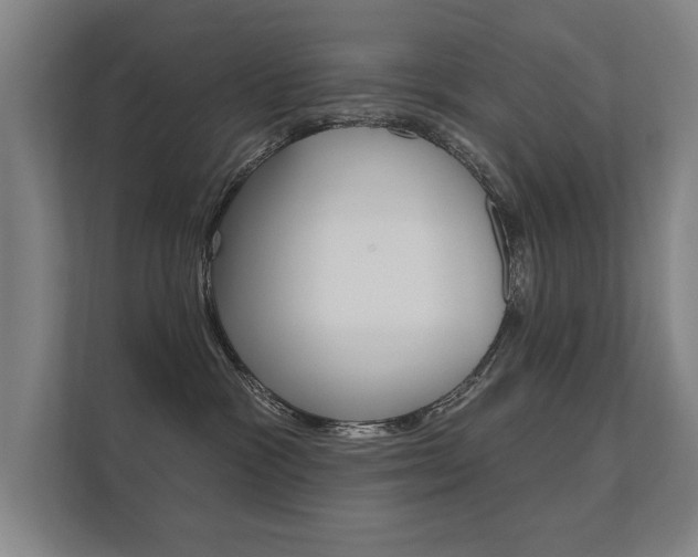 X0000112360333200908131239