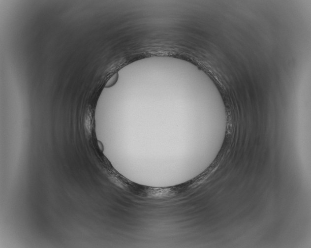 X0000112360334200908131239