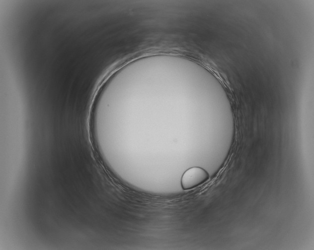 X0000112360340200908131239