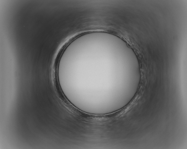 X0000112360342200908131239
