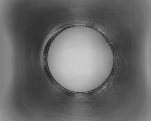 X0000112360343200908131239
