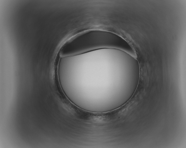X0000112360344200908131239