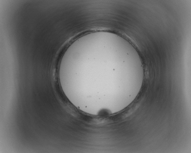 X0000112360351200908131239