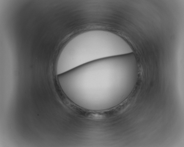 X0000112360352200908131239