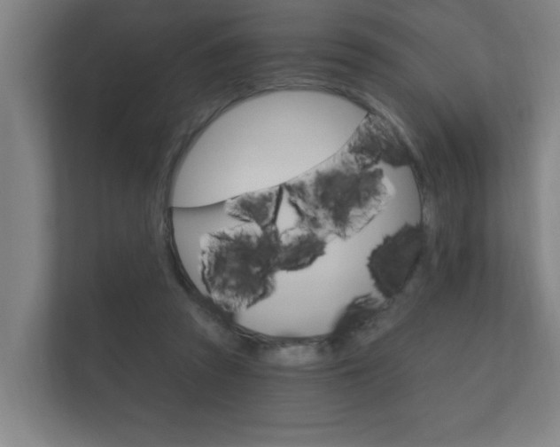 X0000112360353200908131239