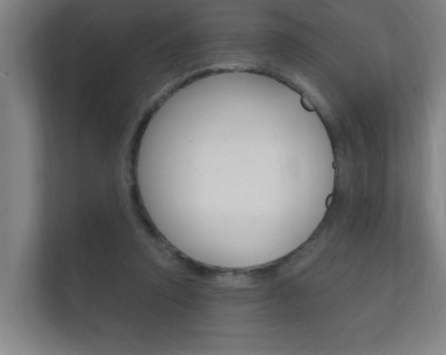 X0000112360354200908131239