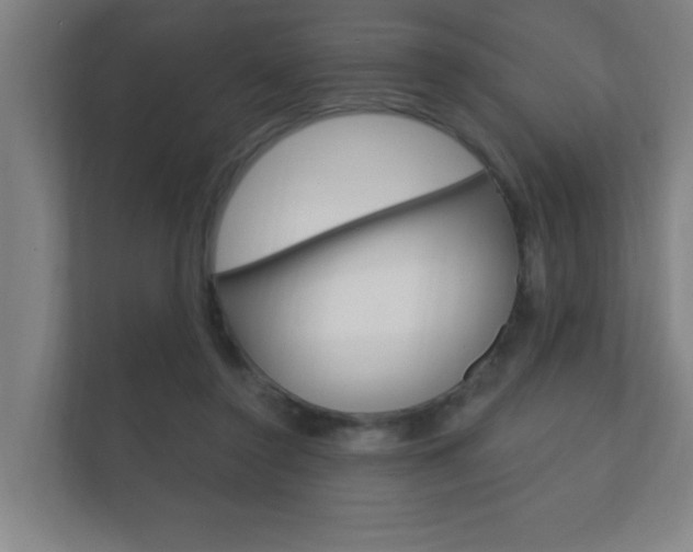 X0000112360356200908131239