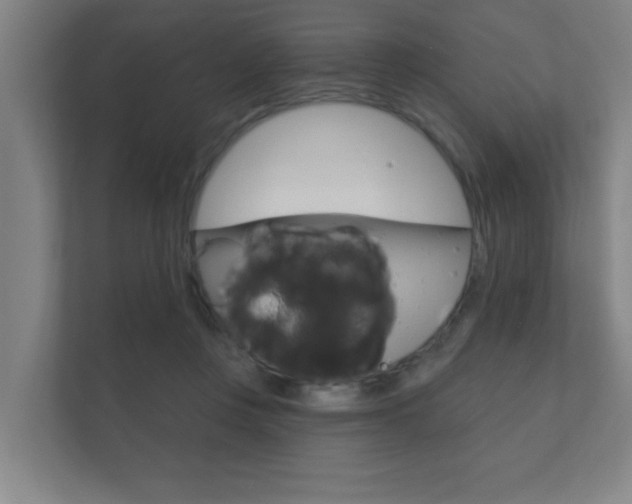 X0000112360359200908131239
