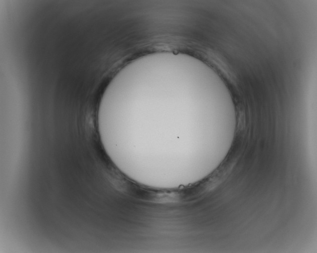X0000112360363200908131239