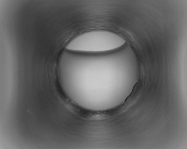 X0000112360364200908131239