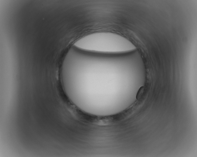 X0000112360368200908131239