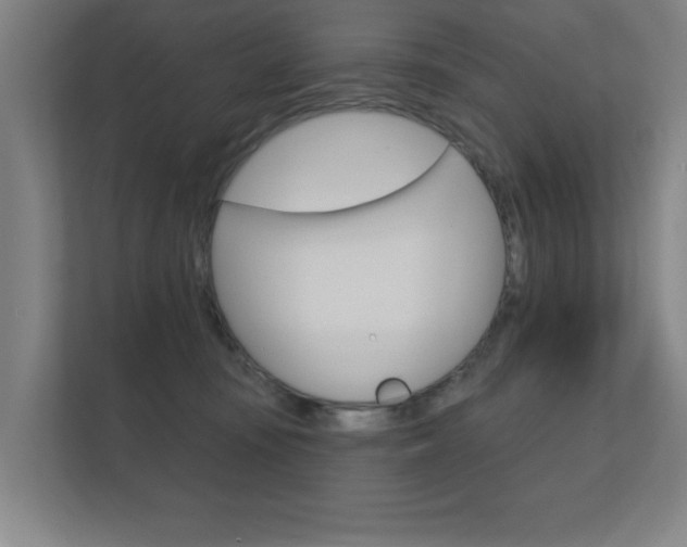 X0000112360371200908131239