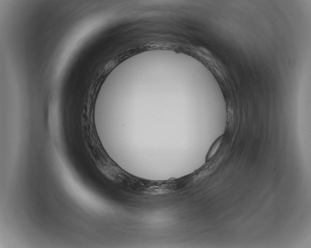 X0000112360381200908131239