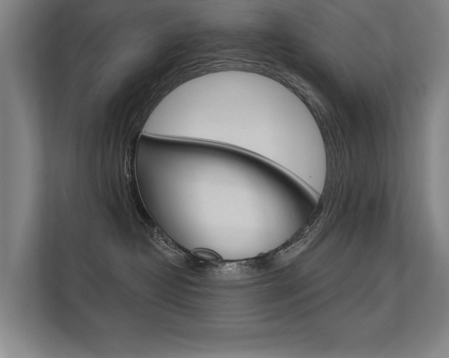 X0000112360382200908131239