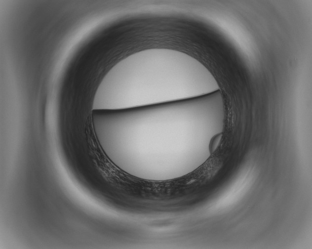 X0000112360383200908131239