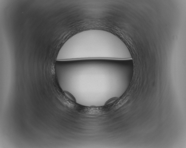 X0000112360384200908131239
