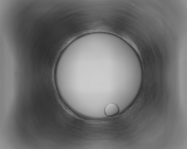 X0000112360389200908131238