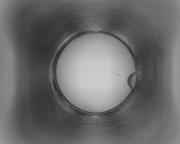 X0000112360390200908131238