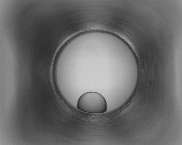 X0000112360391200908131238