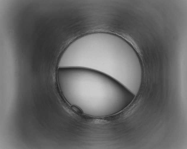 X0000112360393200908131238