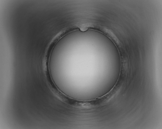 X0000112360395200908131238