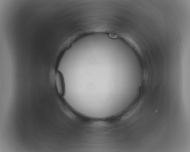 X0000112360397200908131238