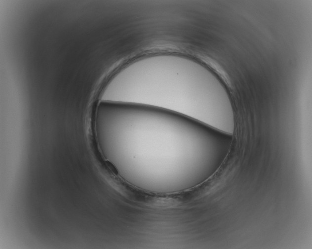X0000112360399200908131238