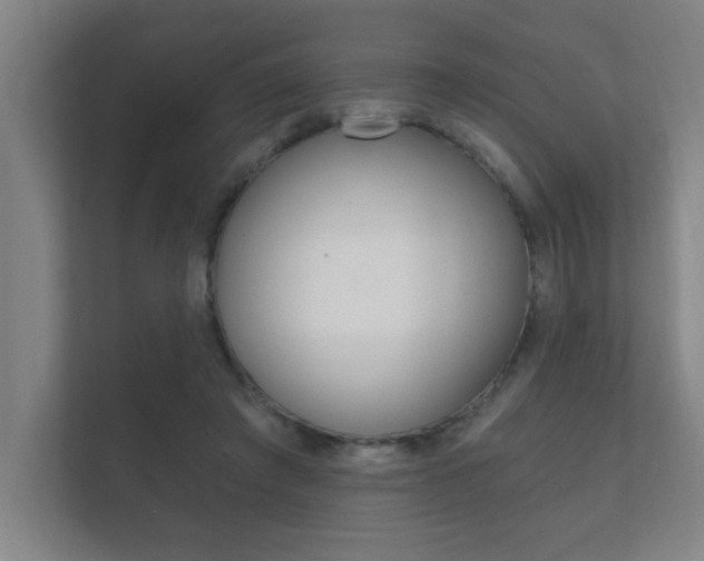 X0000112360401200908131238