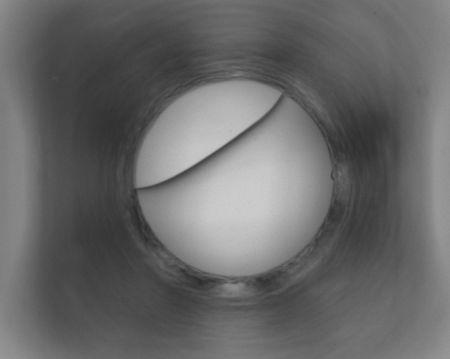 X0000112360406200908131238