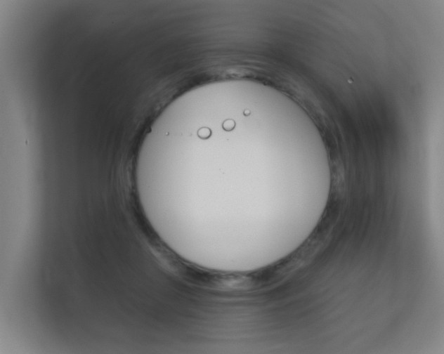 X0000112360410200908131238