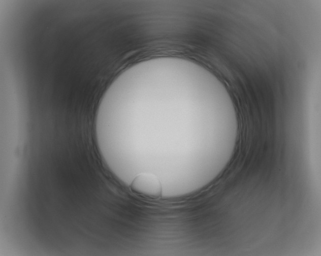 X0000112360413200908131238