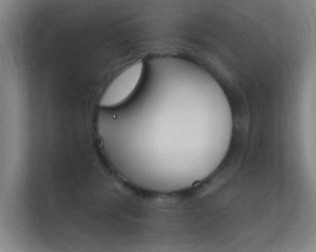 X0000112360416200908131238