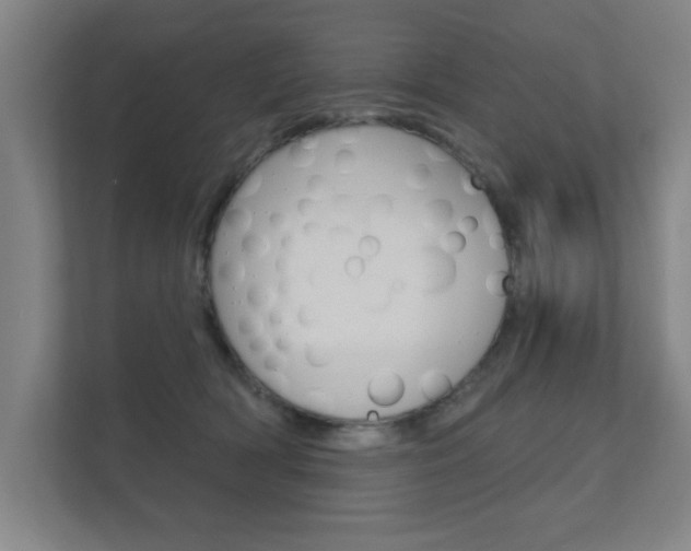 X0000112360418200908131238