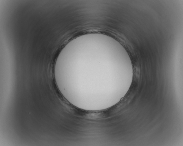 X0000112360422200908131238