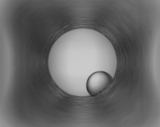 X0000112360425200908131238