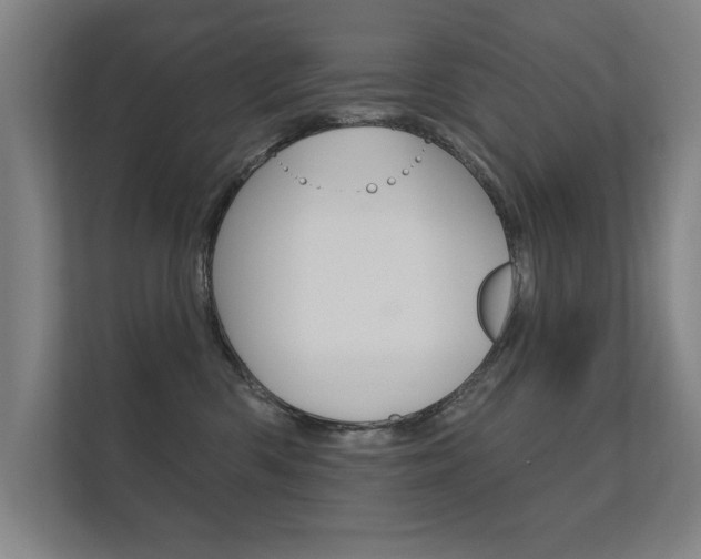 X0000112360426200908131238