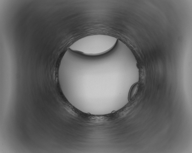 X0000112360428200908131238