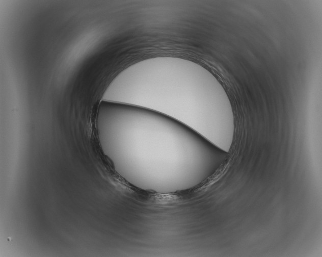 X0000112360429200908131238